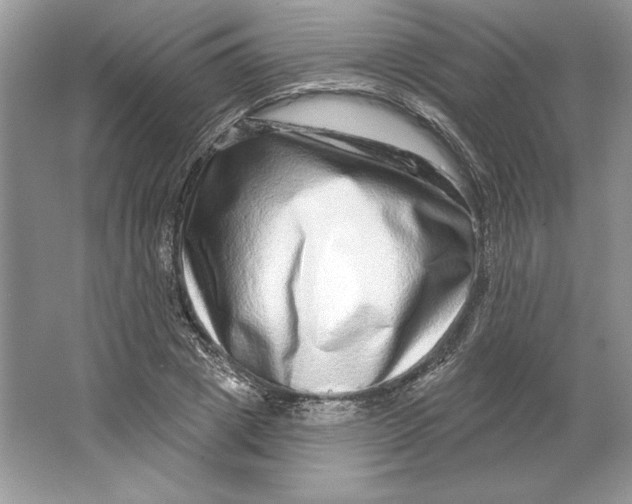 X0000064760833200603031757