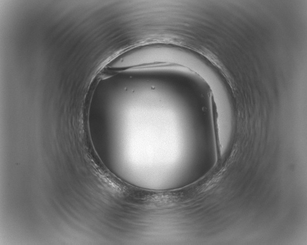 X0000064760834200603031757