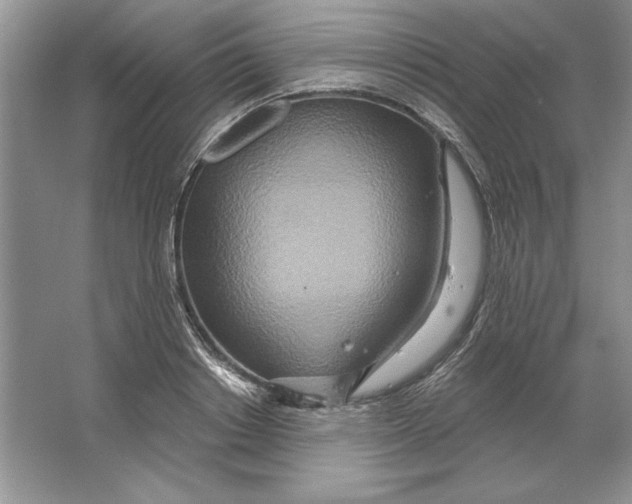 X0000064760842200603031757