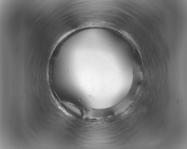 X0000064760846200603031757