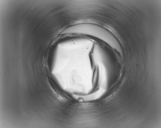 X0000064760849200603031757