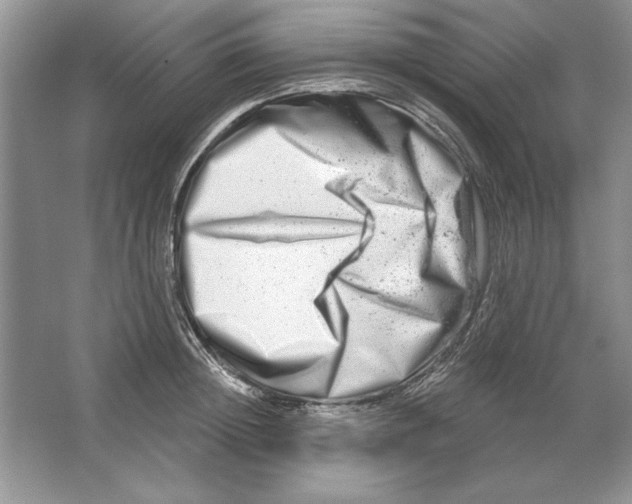 X0000064760852200603031757