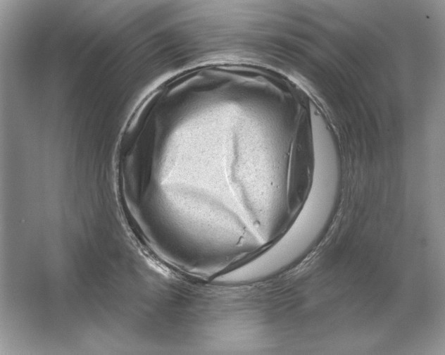 X0000064760854200603031757