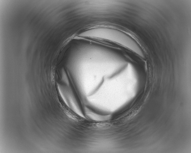 X0000064760857200603031757