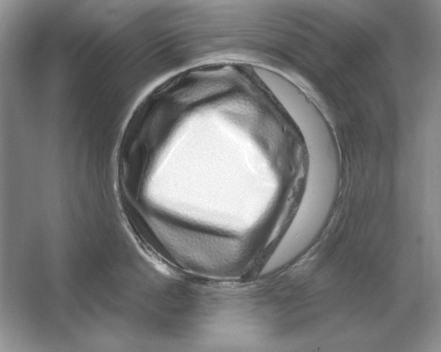 X0000064760862200603031757
