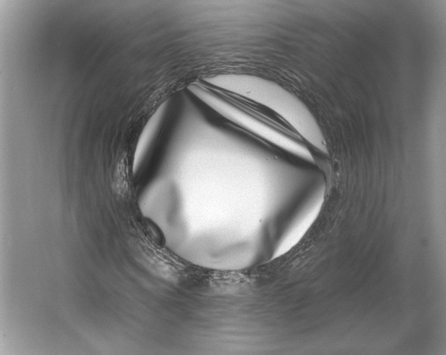 X0000064760866200603031757