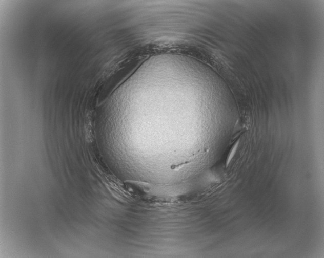 X0000064760868200603031757