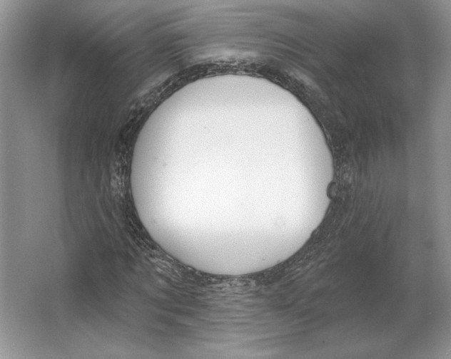 X0000064760869200603031757