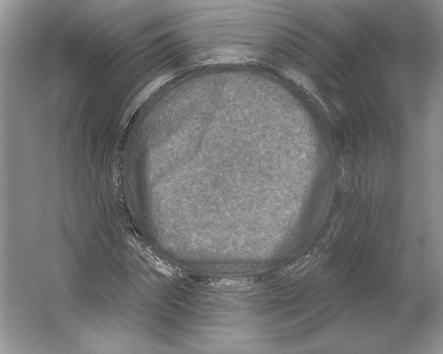 X0000064760874200603031757