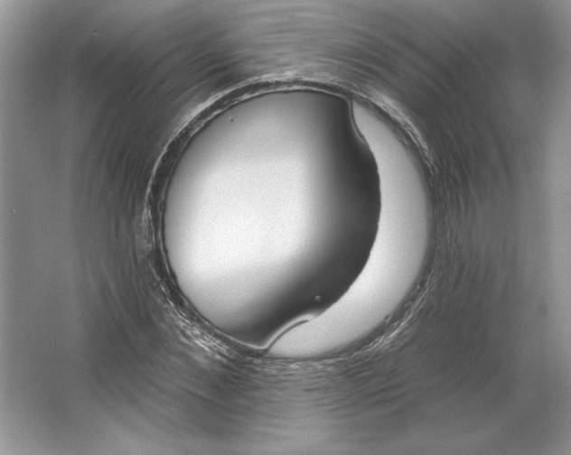 X0000064760876200603031756