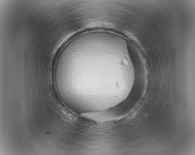 X0000064760877200603031756