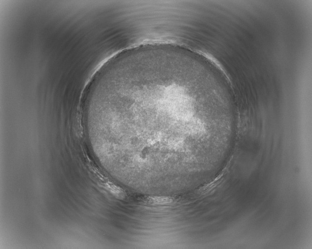 X0000064760878200603031756