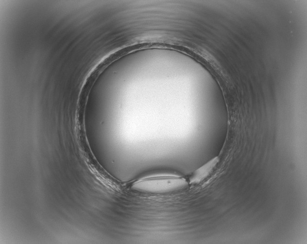 X0000064760880200603031756