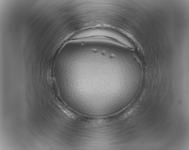 X0000064760881200603031756