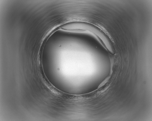 X0000064760885200603031756