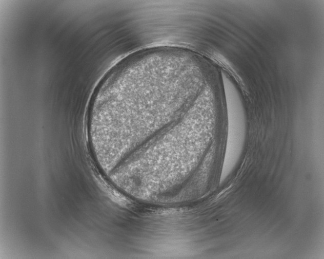 X0000064760892200603031756