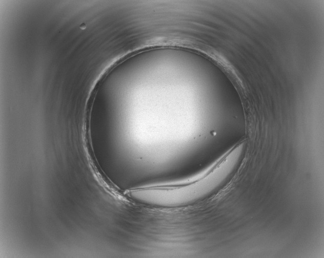 X0000064760896200603031756