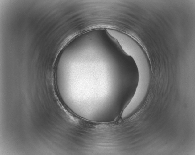 X0000064760898200603031756