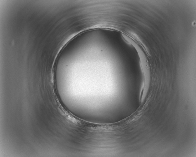 X0000064760900200603031756