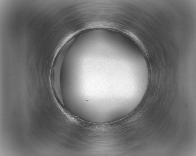 X0000064760901200603031756