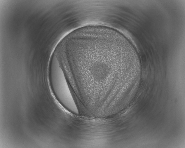 X0000064760903200603031756