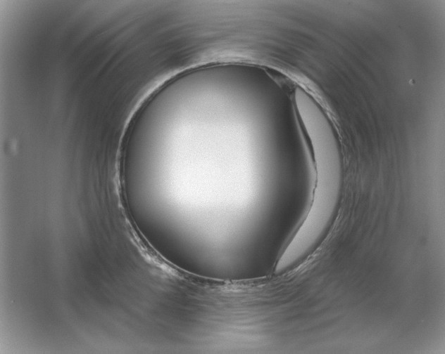 X0000064760904200603031756
