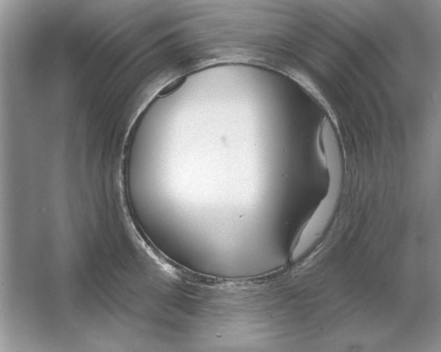 X0000064760906200603031756