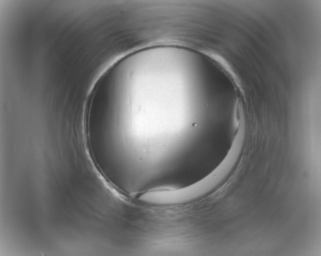 X0000064760910200603031756