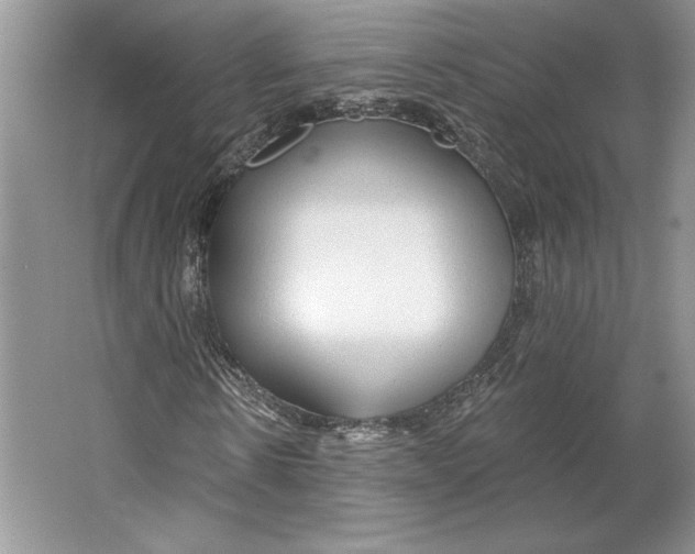 X0000064760914200603031755