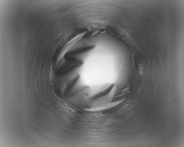 X0000064760915200603031755