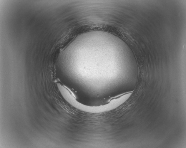 X0000064760916200603031755