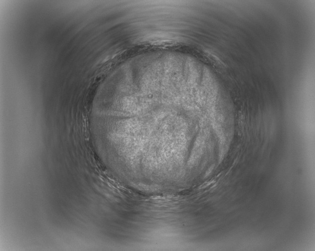 X0000064760917200603031755