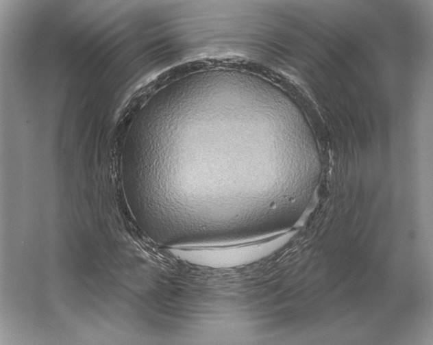 X0000064760920200603031755