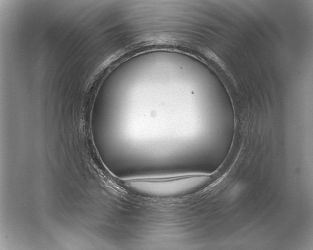 X0000064760922200603031755