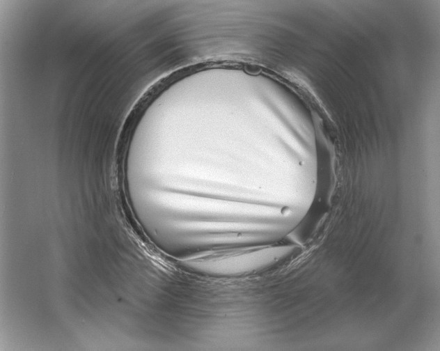 X0000064760924200603031755