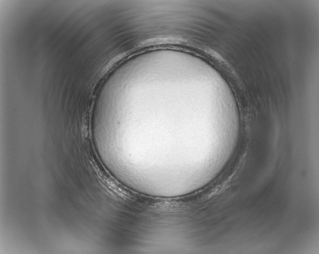 X0000064760929200603031755