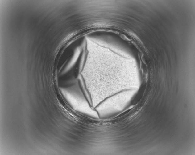 X0000064760930200603031755