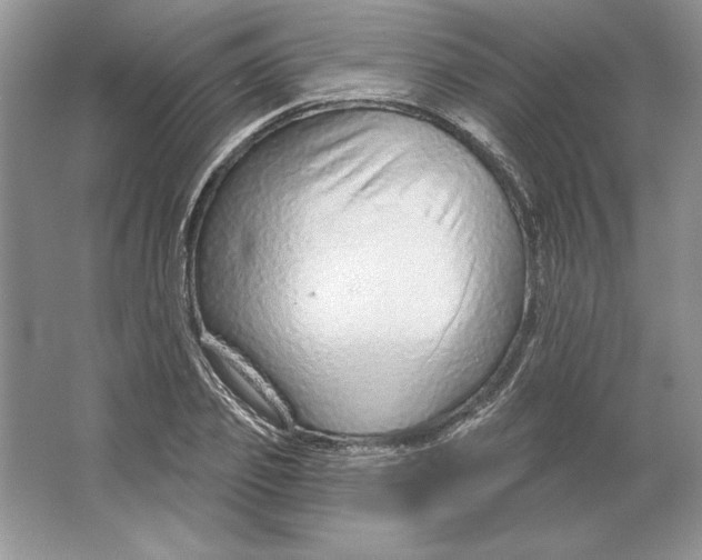 X0000064760933200603031755