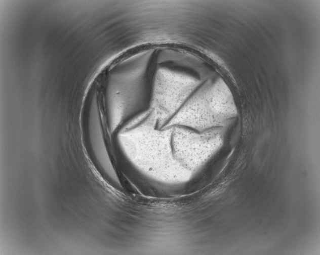 X0000064760935200603031755