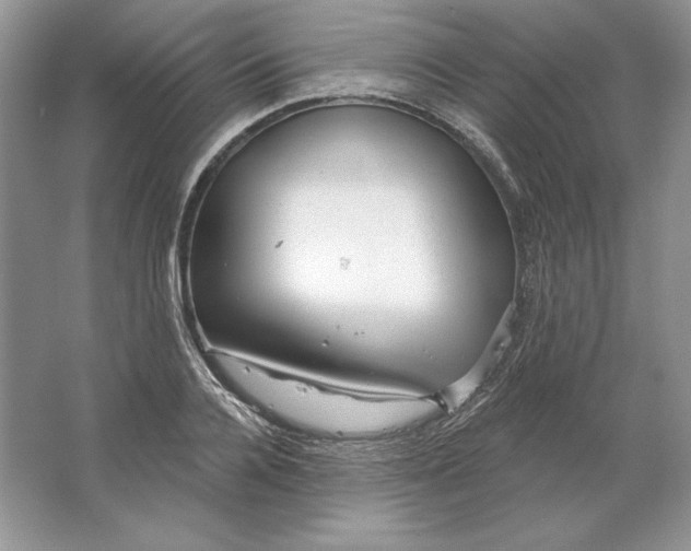 X0000064760936200603031755
