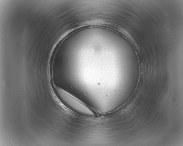 X0000064760939200603031755