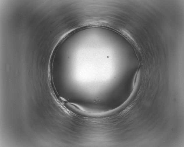 X0000064760940200603031756