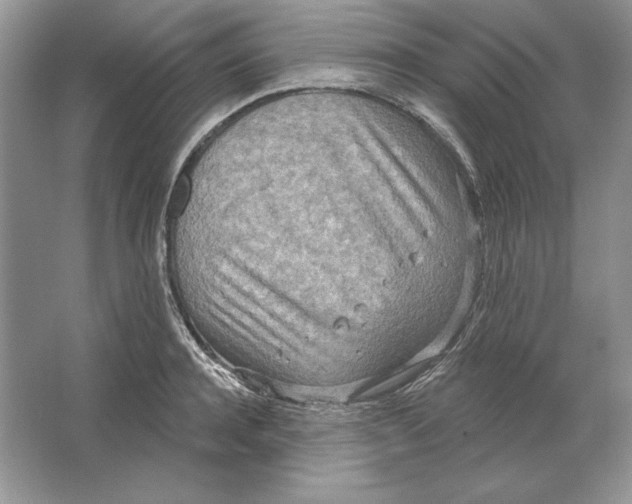 X0000064760944200603031756