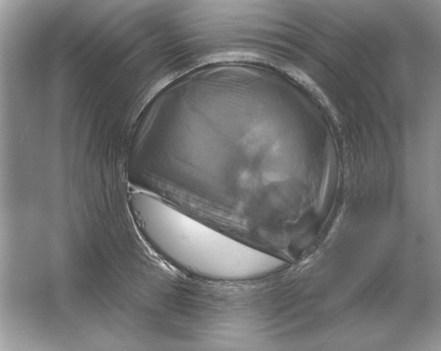 X0000064760945200603031756