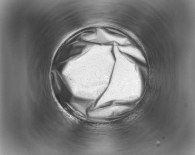 X0000064760951200603031756