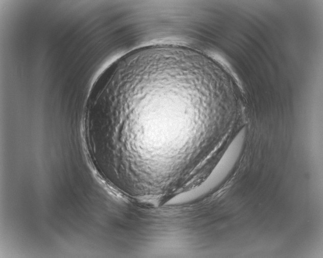 X0000064760952200603031756