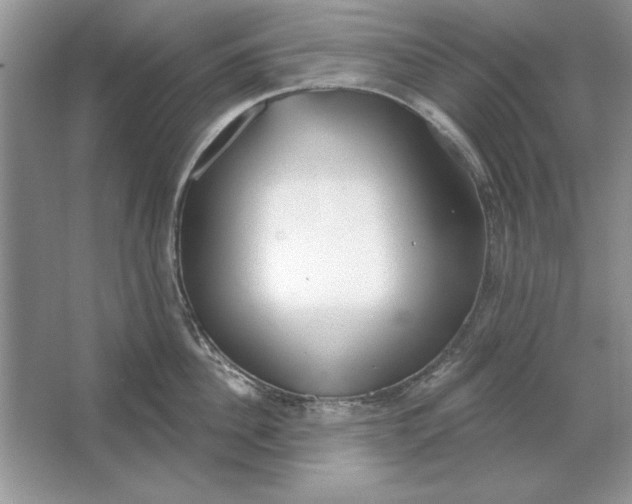 X0000064760956200603031756