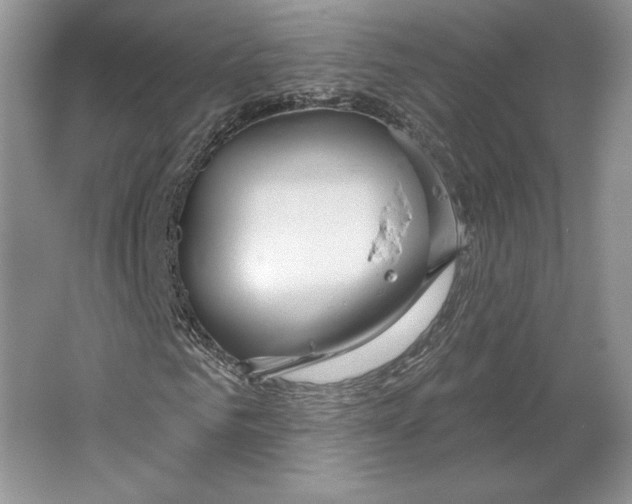X0000064760961200603031755