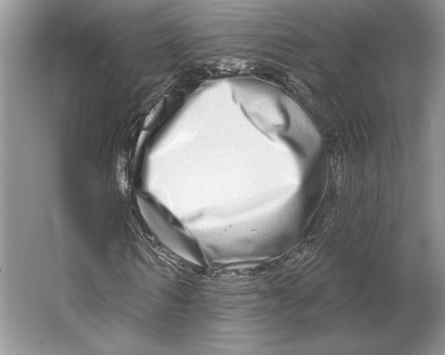 X0000064760962200603031755