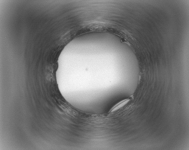 X0000064760964200603031755